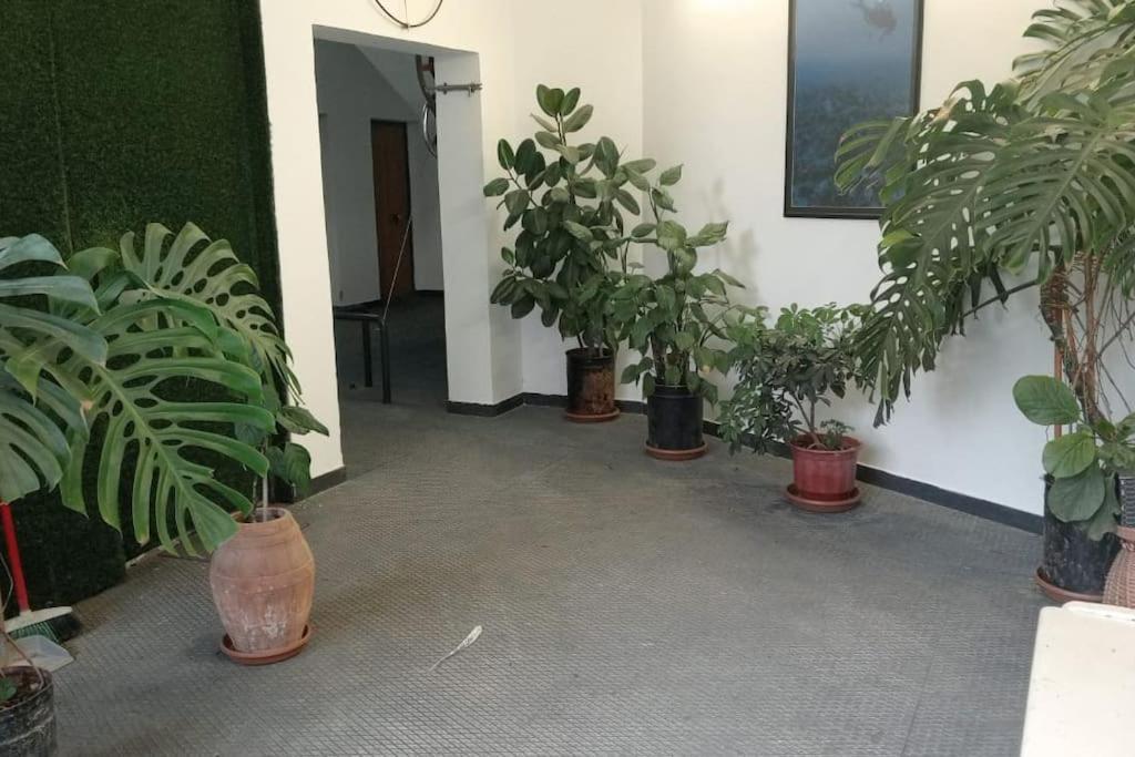 Ferienwohnung Pazari_Ri_Studio Tirana Exterior foto