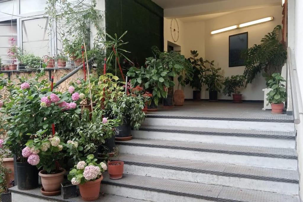 Ferienwohnung Pazari_Ri_Studio Tirana Exterior foto